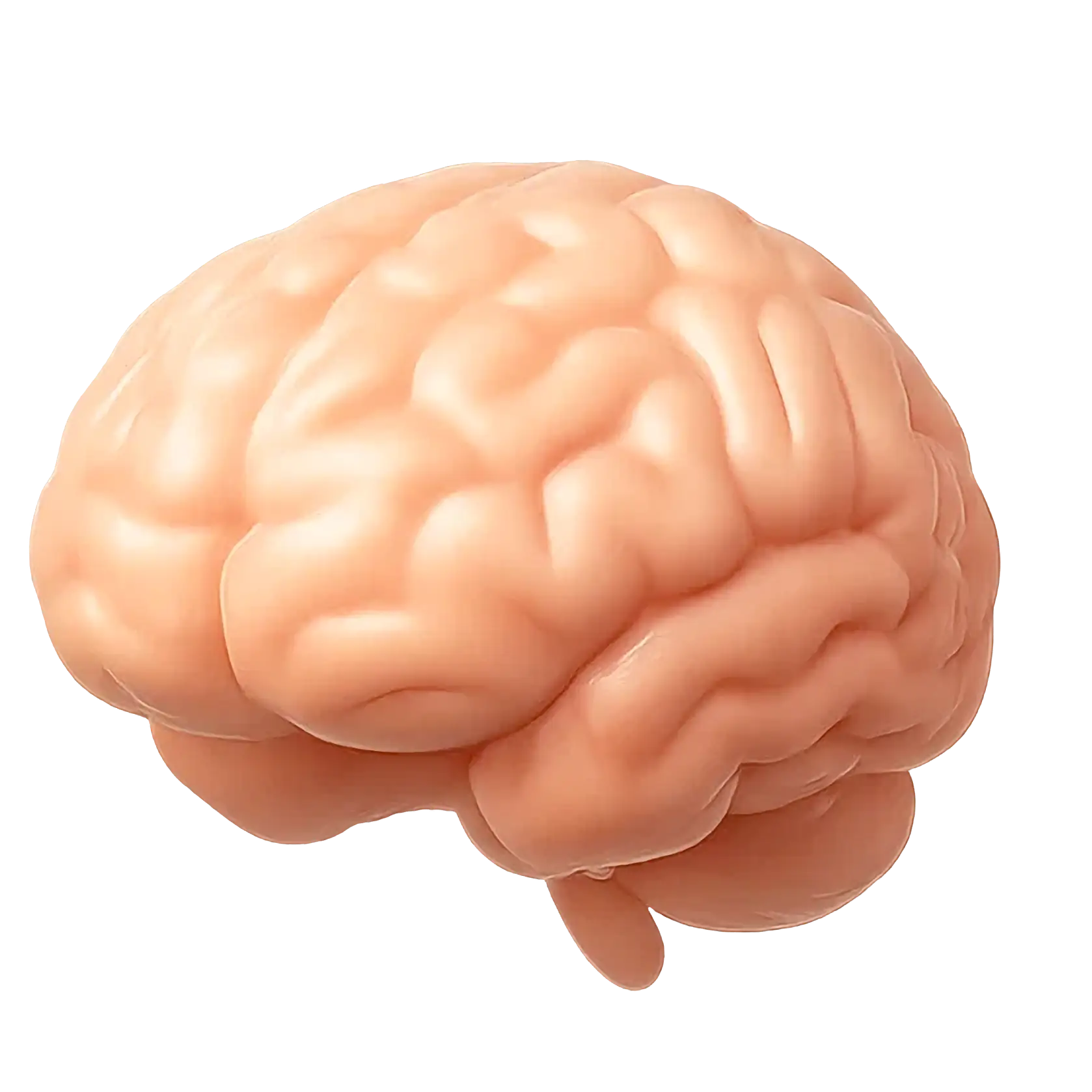 A 3D-rendered pink brain icon with visible surface details.