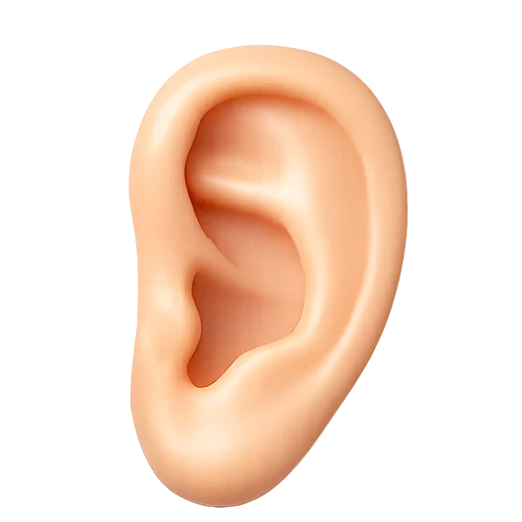 A 3D-rendered, tan ear icon with visible surface details