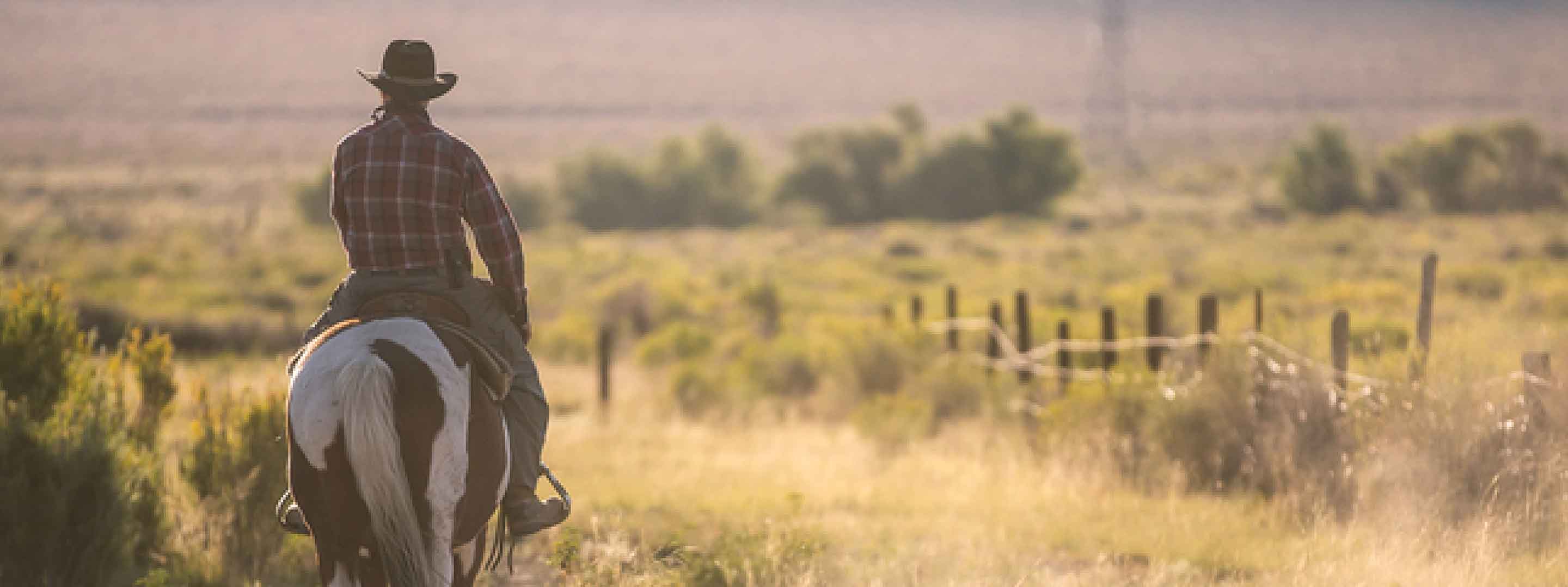 Embrace spring, not hearing loss